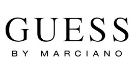lso_logo_guess